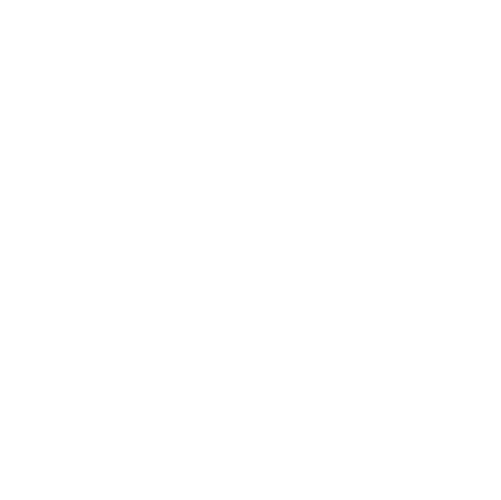 circle-border-1-1